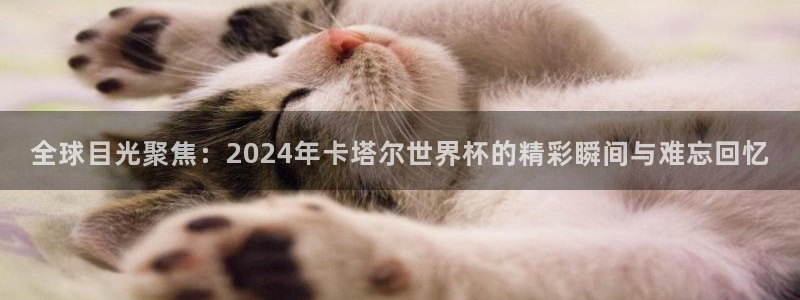 英格兰联赛杯直播：全球目光聚焦：2024年卡塔尔世界杯的精彩瞬间与难忘回忆