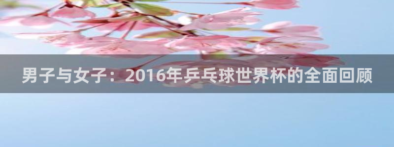 世界杯预选赛2026