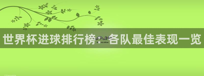 世界杯比赛