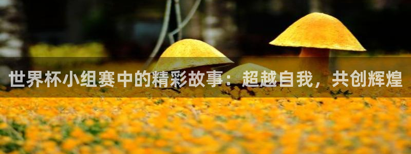2026年世界杯直播平台：世界杯小组赛中的精彩故事：超越自我，共创辉煌