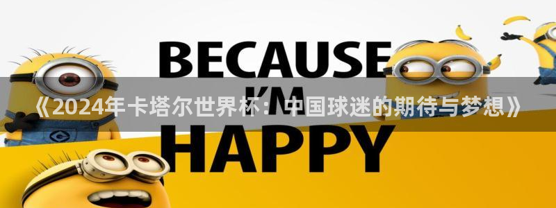 预选赛世界杯：《2024年卡塔尔世界杯：中国球迷的期待与梦想》