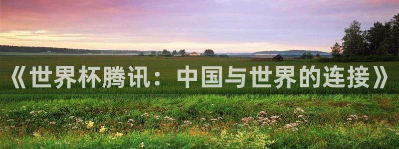 世界杯时间：《世界杯腾讯：中国与世界的连接》