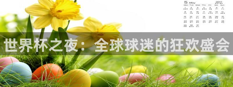 世界杯预选赛排名：世界杯之夜：全球球迷的狂欢盛会