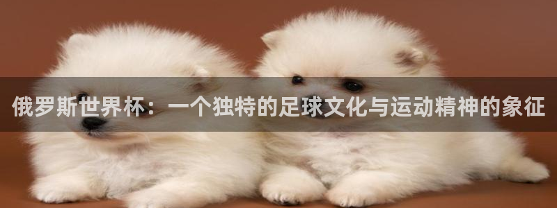 免费看足球直播比赛：俄罗斯世界杯：一个独特的足球文化与运动精神的象征