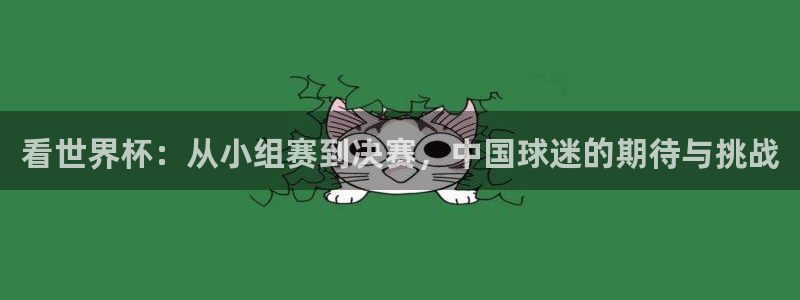 世界杯48支球队赛制：看世界杯：从小组赛到决赛，中国球迷的期待与挑战