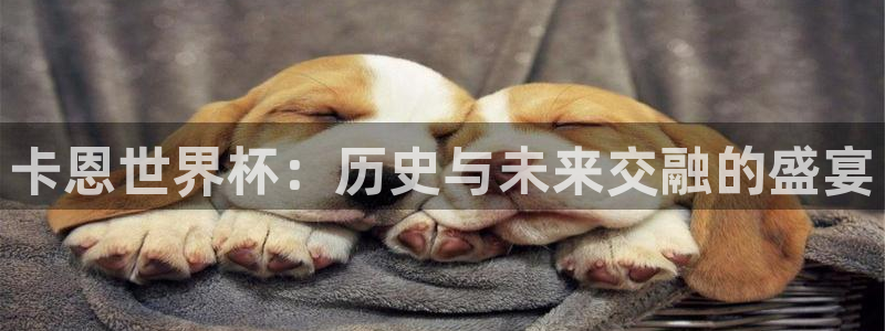 2026世界杯亚洲区预选赛赛程：卡恩世界杯：历史与未来交融的盛宴