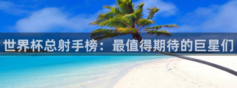 2026世界杯对阵图：世界杯总射手榜：最值得期待的巨星们