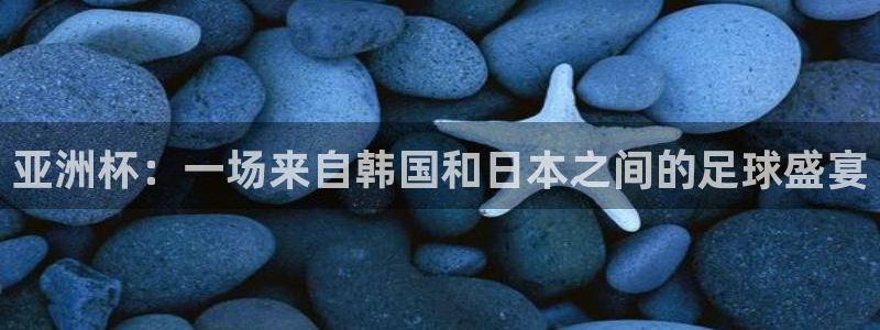 世界杯直播网：亚洲杯：一场来自韩国和日本之间的足球盛宴
