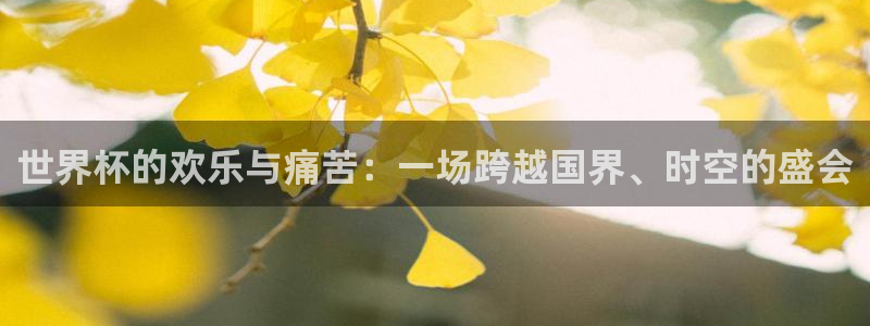 2026世界杯赛程表完整版：世界杯的欢乐与痛苦：一场跨越国界、时空的盛会