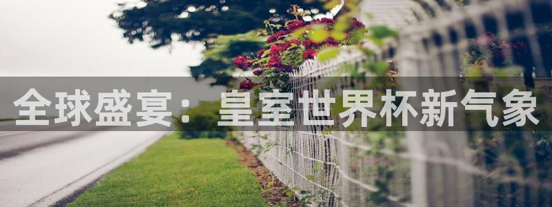 世界杯转播表：全球盛宴：皇室世界杯新气象